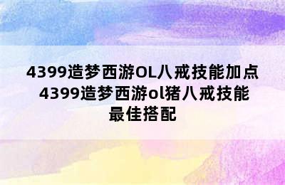 4399造梦西游OL八戒技能加点 4399造梦西游ol猪八戒技能最佳搭配